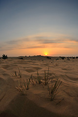 Image showing beautiful sunset in desert