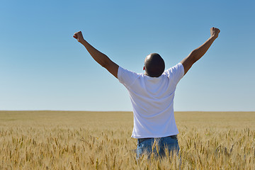 Image showing man in wheat field