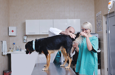 Image showing veterinarian and assistant in a small animal clinic