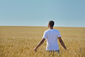 Image showing man in wheat field