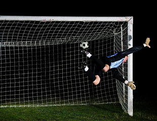 Image showing goalkeeper