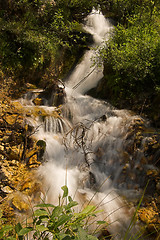 Image showing Waterfall