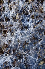 Image showing Cracked water ice on frozen bog winter background 