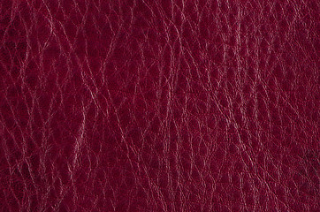 Image showing Red leather 