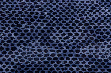 Image showing Blue python snake skin