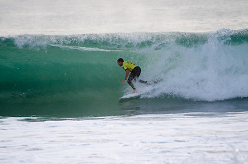 Image showing Taylor Knox