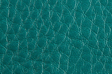 Image showing Green leather 