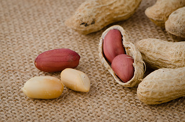 Image showing Peanuts