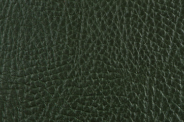 Image showing Green leather 