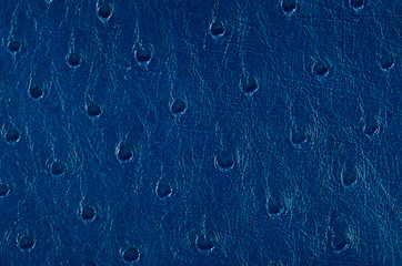 Image showing Blue leather 