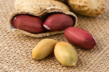 Image showing Peanuts