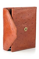 Image showing Brown Leather Purse 