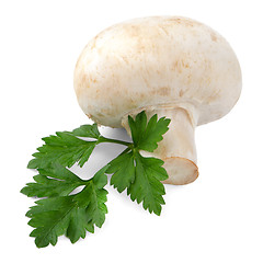 Image showing Champignon mushroom and parsley leaves 