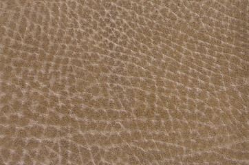 Image showing Brown leather 