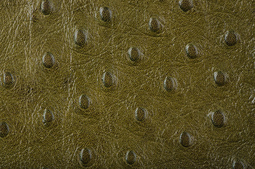 Image showing Leather texture background 