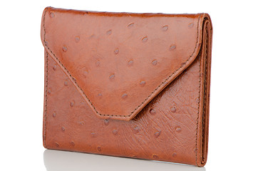 Image showing Brown Leather Purse 