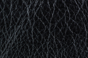 Image showing Black leather texture