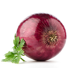 Image showing Red onion tuber and fresh parsley