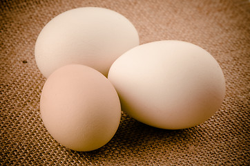 Image showing Three eggs