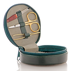 Image showing Small green leather travel care kit