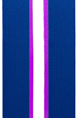 Image showing Blue ribbon border