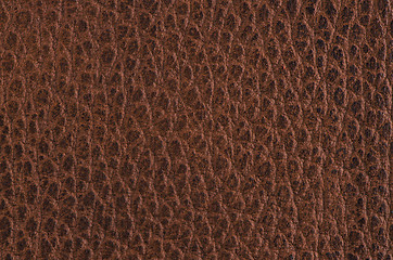 Image showing Natural brown leather