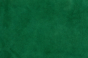 Image showing Green leather