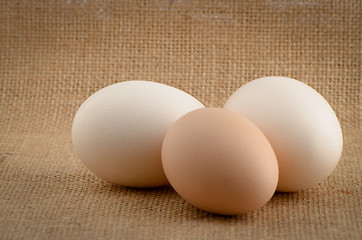 Image showing Three eggs