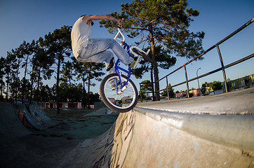 Image showing BMX Bike Stunt tap