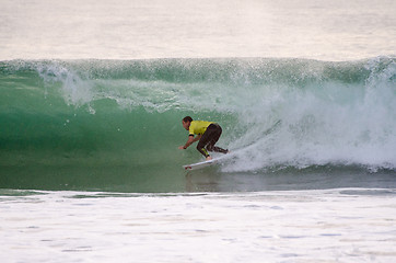 Image showing Taylor Knox