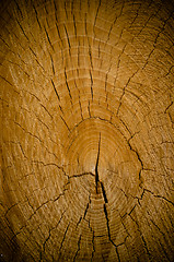 Image showing Crack wood spiral 