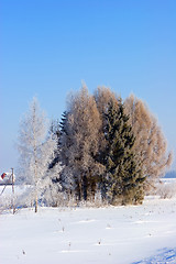 Image showing Winter landscape