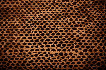 Image showing Snake Skin Leather Texture 