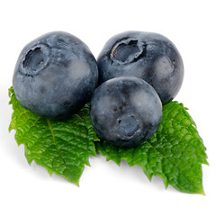 Image showing Ripe blueberry