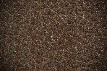 Image showing Brown leather 