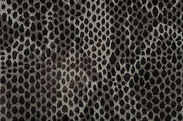 Image showing Snake skin background