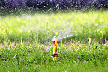 Image showing Water sprinkler on green lawn