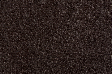 Image showing Brown leather 