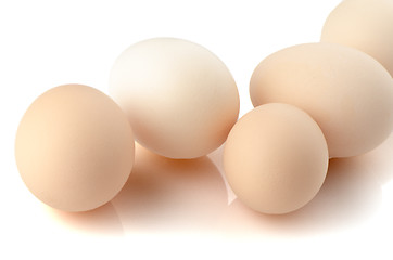 Image showing Five eggs on white 