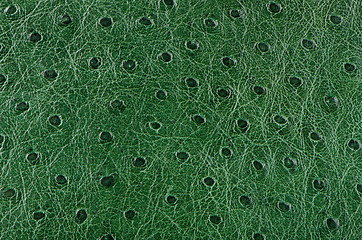 Image showing Green leather 