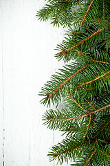 Image showing christmas fir tree