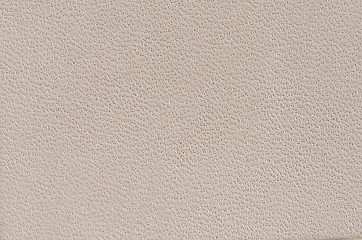 Image showing White leather 