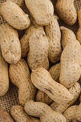 Image showing Peanuts