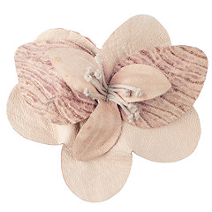 Image showing Leather pink flower