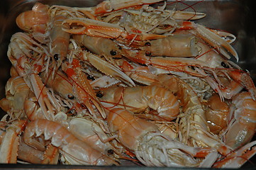 Image showing crawfish