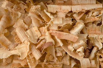 Image showing Wood shavings