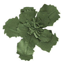 Image showing Leather green flower