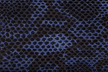 Image showing Blue python snake skin