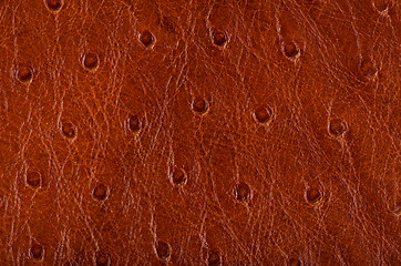 Image showing Leather texture background 