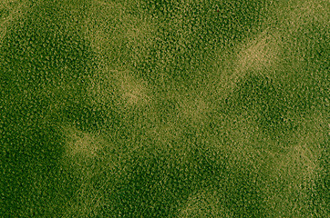 Image showing Green leather 